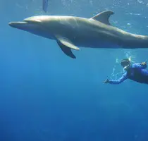 dive center
